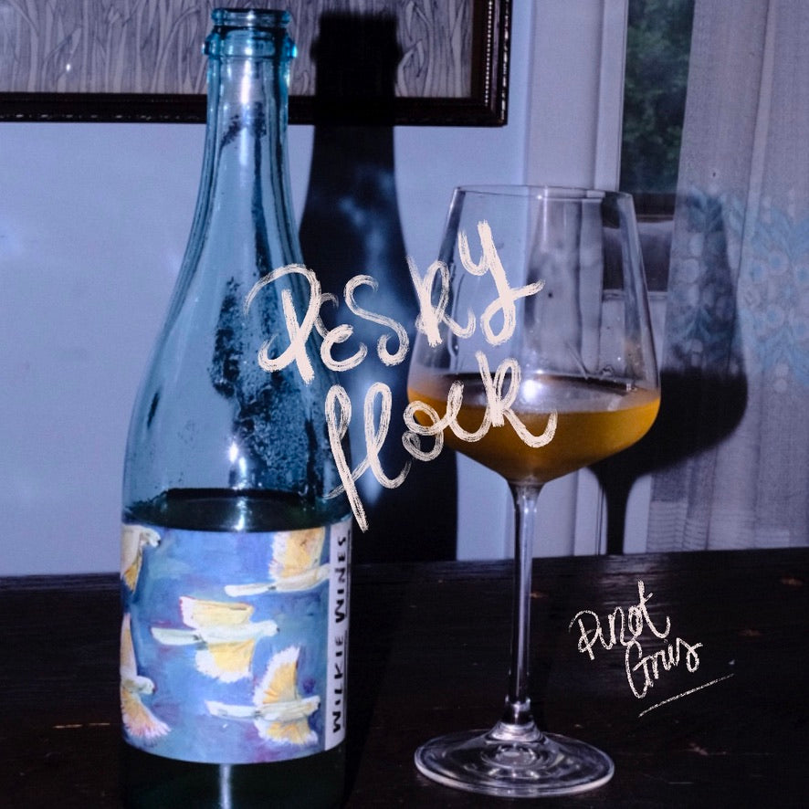 X SOLD OUT - 2023 'Pesky Flock' Pinot Gris